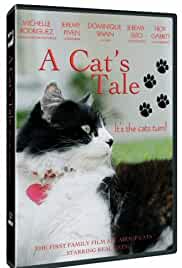 A Cat's Tale