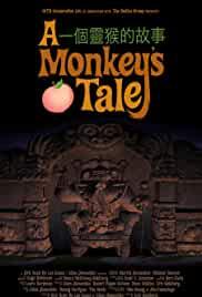 A Monkey's Tale