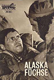 Alaskafüchse