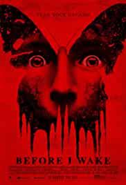 Before I Wake