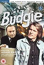 Budgie