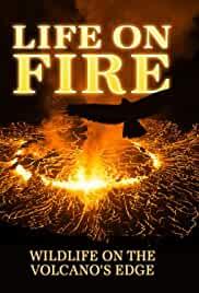 Life on Fire: Wildlife on the Volcano's Edge
