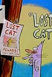 Lost Cat