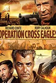 Operation Cross Eagles