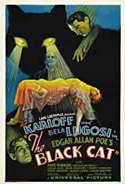 The Black Cat