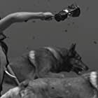 Woodkid: Iron