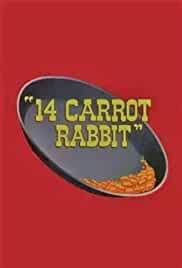 14 Carrot Rabbit