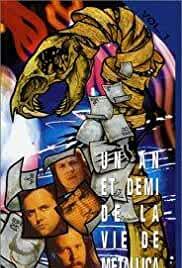 A Year and a Half in the Life of Metallica