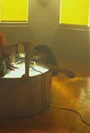 ...And She Was My Eve