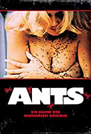 Ants!