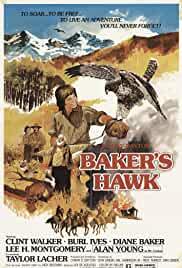 Baker's Hawk