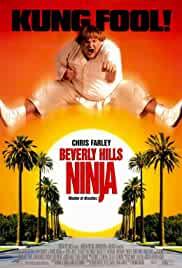 Beverly Hills Ninja