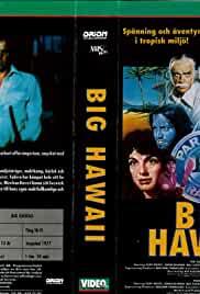 Big Hawaii