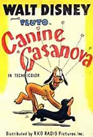Canine Casanova