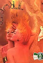 Cyndi Lauper: True Colors