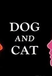 Dog and Cat