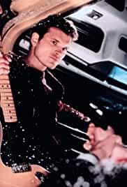 Ein Weihnachtsmärchen - Wenn alle Herzen schmelzen