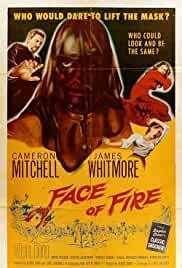 Face of Fire