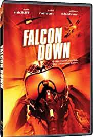 Falcon Down