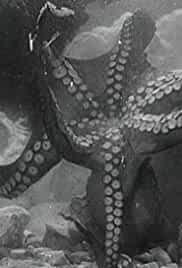 Fantasia sottomarina