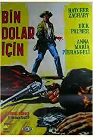 For One Thousand Dollars Per Day