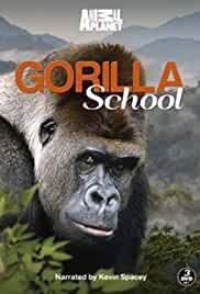 Gorilla School