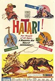 Hatari!