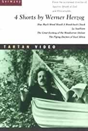 How much Wood would a Woodchuck chuck... - Beobachtungen zu einer neuen Sprache