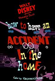 How to Have an Accident in the Home