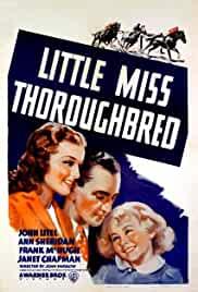 Little Miss Thoroughbred