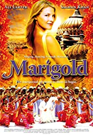 Marigold