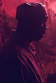 MGMT: Cool Song No. 2