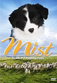 Mist: The Tale of a Sheepdog Puppy