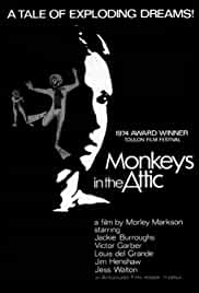 Monkeys in the Attic