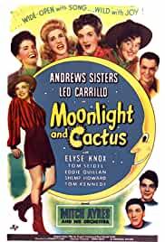 Moonlight and Cactus