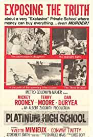 Platinum High School