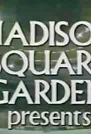 Professional Wrestling