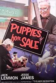 Puppies for Sale