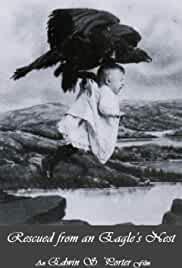 Rescued from an Eagle's Nest