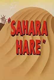 Sahara Hare