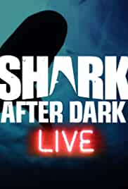 Shark After Dark