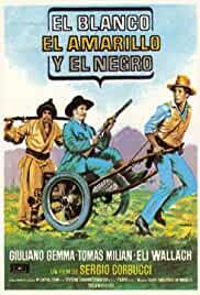 Shoot First... Ask Questions Later