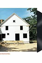 Sonic Youth: The Diamond Sea