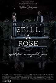 Still a Rose