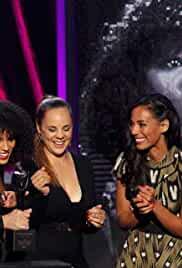 The 2013 Rock and Roll Hall of Fame Induction Ceremony