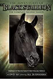The Adventures of Black Stallion