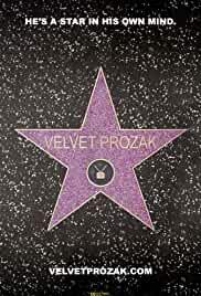 The Adventures of Velvet Prozak