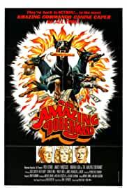 The Amazing Dobermans