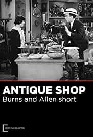 The Antique Shop