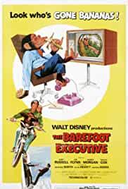 The Barefoot Executive